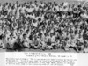 1945 - Summer on Linquistics class (Ralph D. Winter is not present)